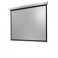 celexon electric professional plus pantalla de proyeccion electrica 280x210 cm