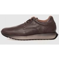 cetti zapatos bajos zapato 1335 marron para hombre