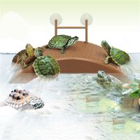 acuario tanque tortuga reptil tomando el sol terraza isla plataforma casa muelle pier decoraciones