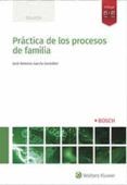 practica de los procesos de familia