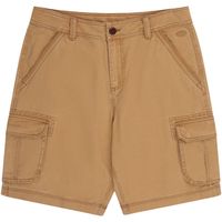 animal short dusk para hombre