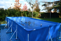 malla piscina anti-hojas rectangular de polietileno 6 x 6 m fungo