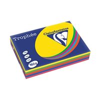 trophee card a4 160gm intensive assorted 250 pack 1713c