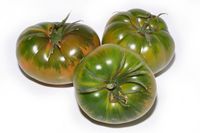 tomate asurcado-1kg