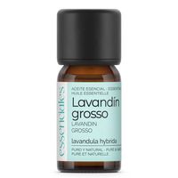 aceite esencial de lavandin grosso 10 ml