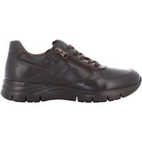 nerogiardini botines i402153u300 para hombre