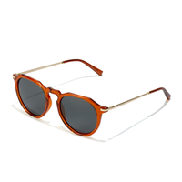 warwick crosswalk - polarized ginger