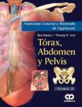 anatomia concisa e ilustrada de lippincott vol 2 torax abdomen y pel