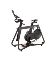 kettler hoi frame stone ciclo indoor