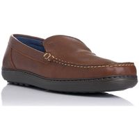 notton mocasines 0110 para hombre