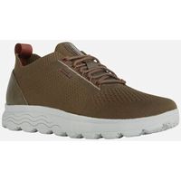 geox zapatos bajos u spherica a knitted verde para hombre