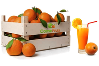 naranjas de zumo-98kg