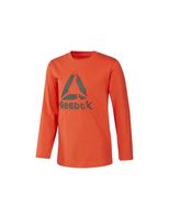 camiseta sportswear reebok boys training essentials