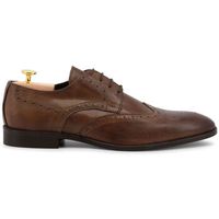 duca di morrone zapatos bajos valerio - leather brown para hombre