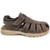 westland sandalias sandalia 74r0031002 marron para hombre