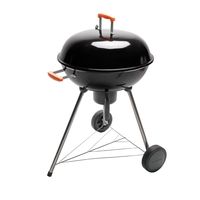 barbacoa naterial phoenix alpha de carbon recomendado para 8 personas