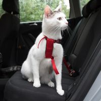 cinturon de seguridad trixie para gatos - rojo