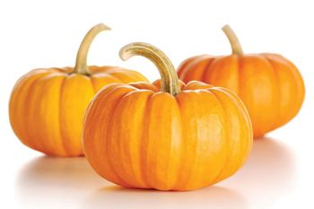 Calabaza natural de Halloween (Formato: caja)