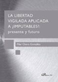 La Libertad Vigilada Aplicada A ¿imputables? Presente Y Futuro