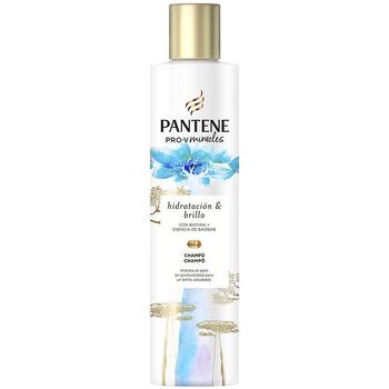 Pantene Champú Hidratación Y Brillo Champú para mujer