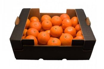 Mandarinas para zumo (Formato: caja)