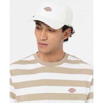 Dickies Gorra Hardwick para hombre