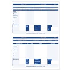 Iris Compatible Payslip 2 Per A4 Sheet [Pack 1000 Payslips] - FY95