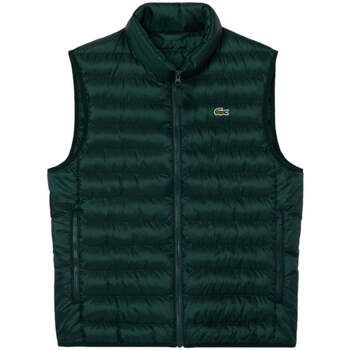 Lacoste Chaqueta Gilet para niño