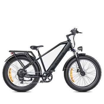 Engwe E26 Bicicleta Eléctrica 250W 140Km de Autonomía Gris