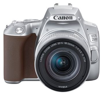 Canon 250D 24MP WiFi Plata + Objetivo EF-S 18-55mm F4-5.6 IS STM