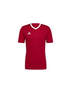 Camiseta de fútbol adidas ent22 hombre