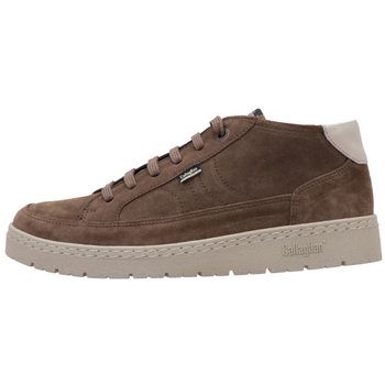 CallagHan Zapatos Bajos 55216 para hombre