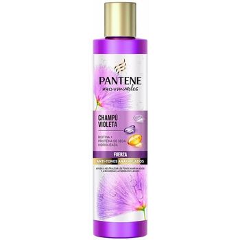 Pantene Champú Miracle Violeta Champú para mujer