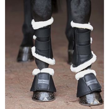 Covalliero Botas para caballos cob Pelisa negro M