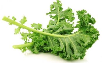 Kale (col rizada)