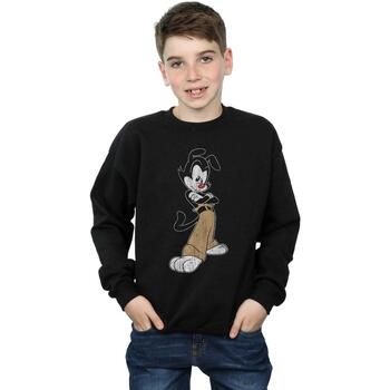 Animaniacs Jersey BI5565 para niño