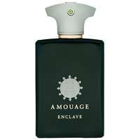 Amouage Enclave Eau de Parfum Spray 100ml