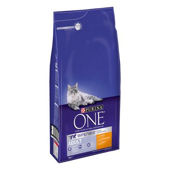 Purina ONE Adult Chicken & Whole Grains Dry Cat Food - 6kg