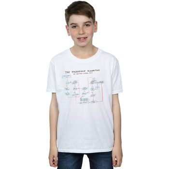 The Big Bang Theory Tops y Camisetas Friendship Algorithm para niño