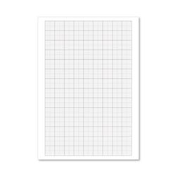 Loose Leaf Graph Paper A4 (500 Pack) 100103410