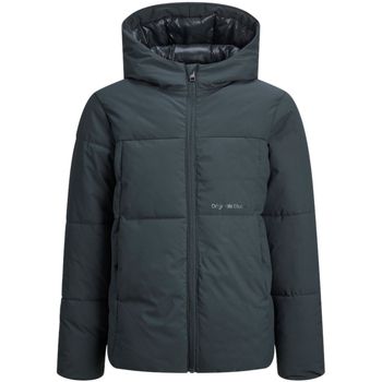 Jack & Jones Parka 12260476 JORVESTERBRO PUFFER JACKET AW24 SN JNR FOREST RIVER para niño