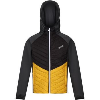 Regatta Chaqueta Kielder Hybrid VII para niño