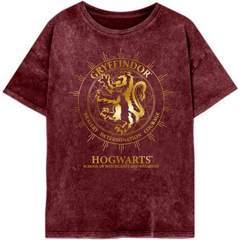 Harry Potter Camiseta manga larga Gryffindor Constellation para mujer