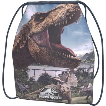 Jurassic World Bolso de mano MC-503-JW para mujer