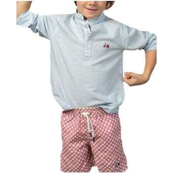 Scotta Camisa manga larga S24540248 para niño