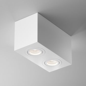 Plafón de techo atom (2 luces)