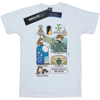 Fantastic Beasts Camiseta manga larga BI17793 para niña